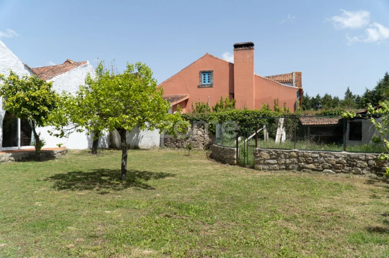 Quinta T8 para Venda em Lamas Foto 67