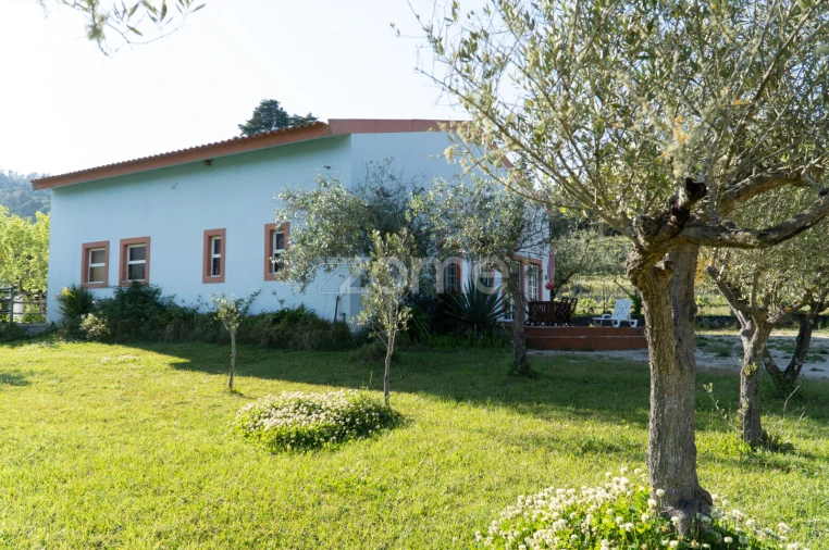 Quinta T8 para Venda em Lamas Foto 25
