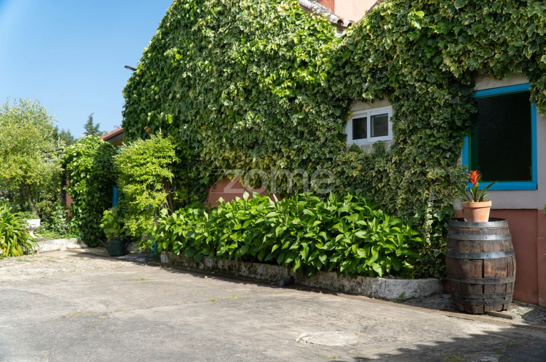 Quinta T8 para Venda em Lamas Foto 50