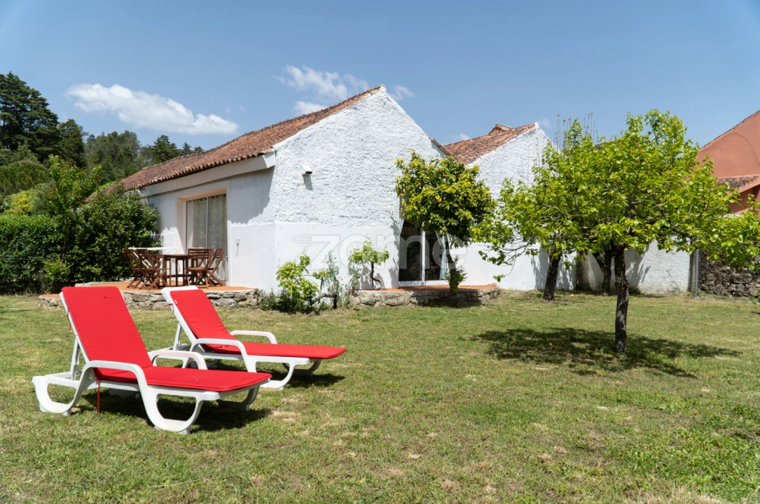 Quinta T8 para Venda em Lamas Foto 21