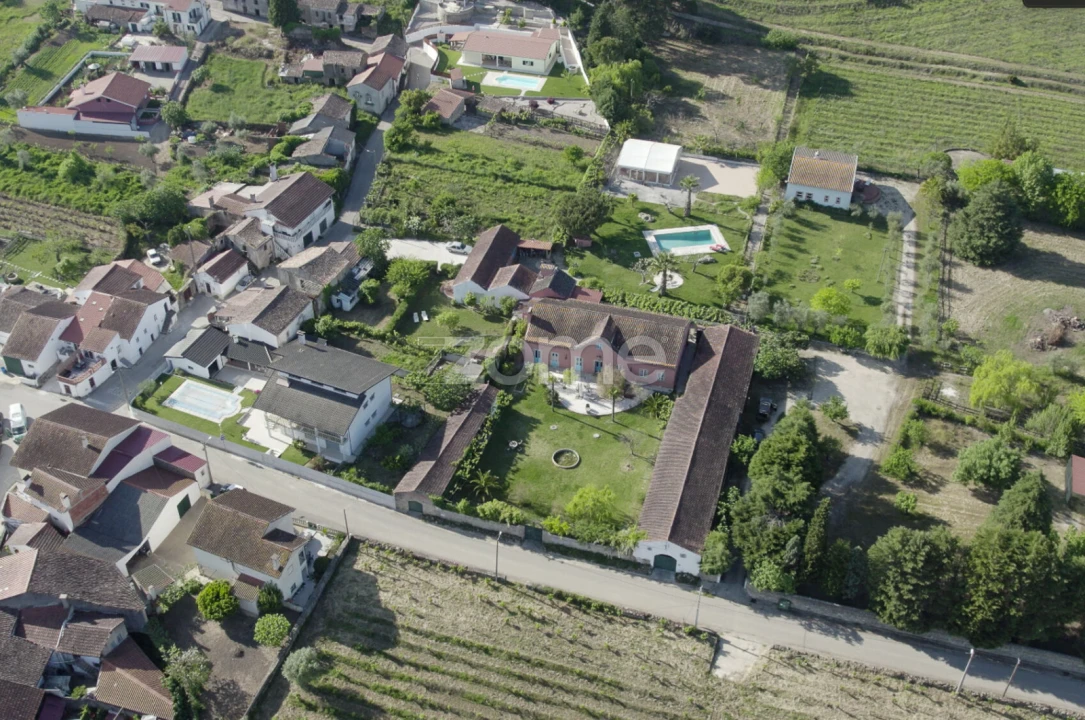 Quinta T8 para Venda em Lamas Foto 41