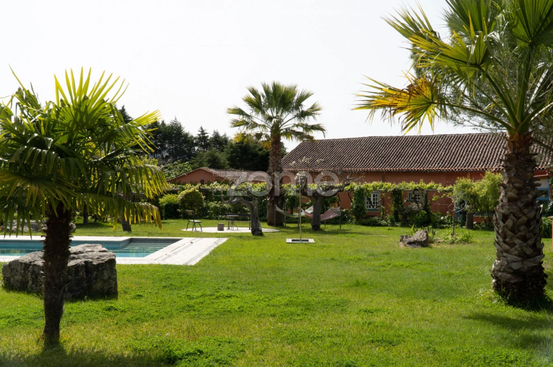 Quinta T8 para Venda em Lamas Foto 45
