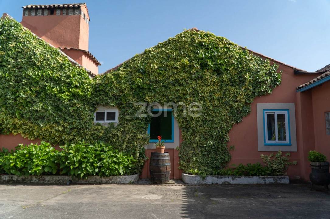 Quinta T8 para Venda em Lamas Foto 66