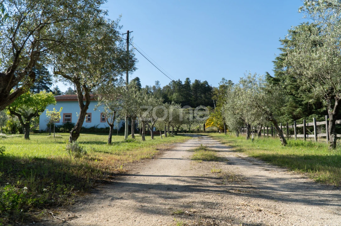 Quinta T8 para Venda em Lamas Foto 24