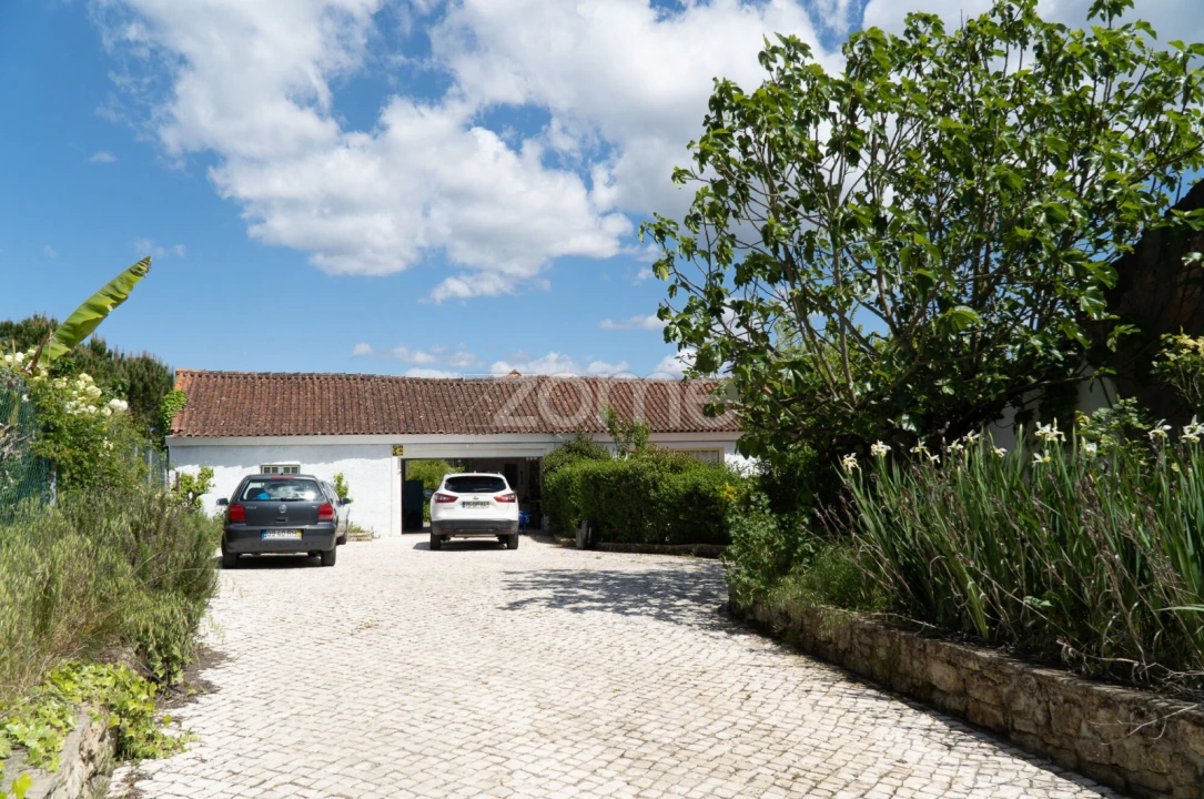 Quinta T8 para Venda em Lamas Foto 47