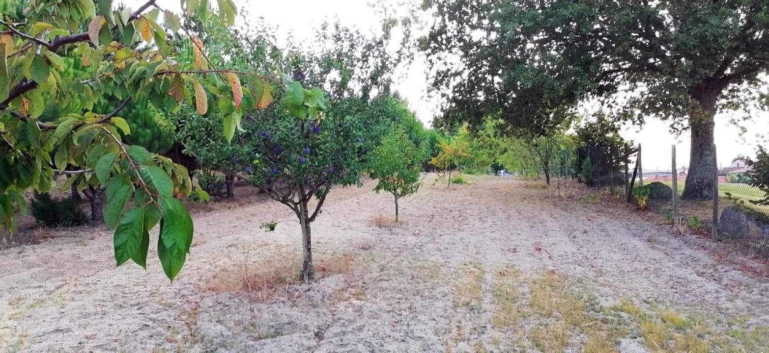 Terreno para Venda em Rio Torto e Lagarinhos Foto 33