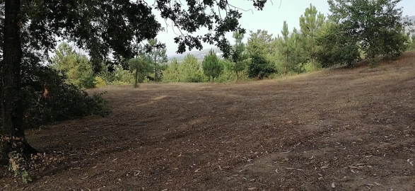 Terreno para Venda em Rio Torto e Lagarinhos