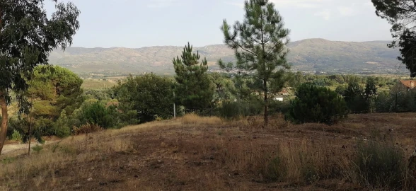 Terreno para Venda em Rio Torto e Lagarinhos
