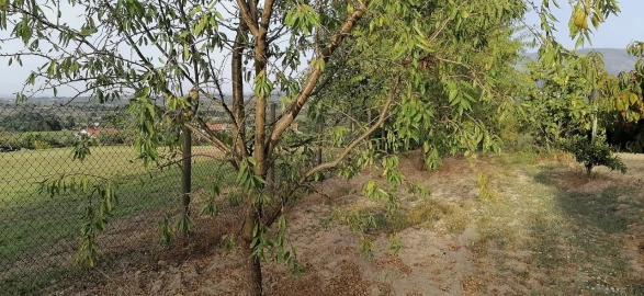 Terreno para Venda em Rio Torto e Lagarinhos