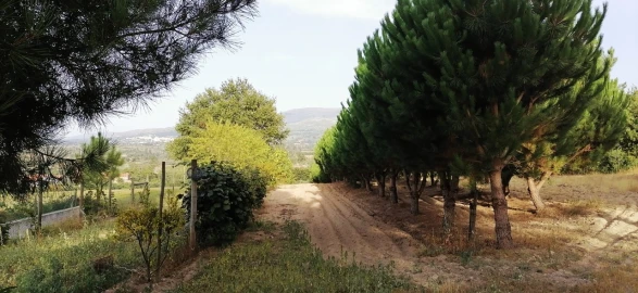 Terreno para Venda em Rio Torto e Lagarinhos