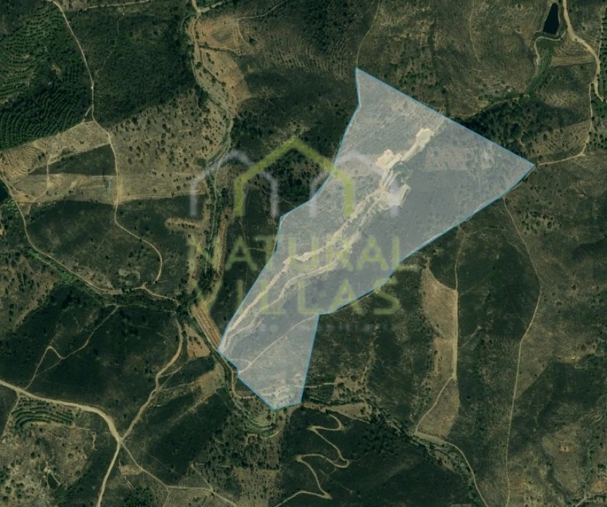 Terreno Agricola ou Rústico para Venda em São Brás de Alportel Foto 1