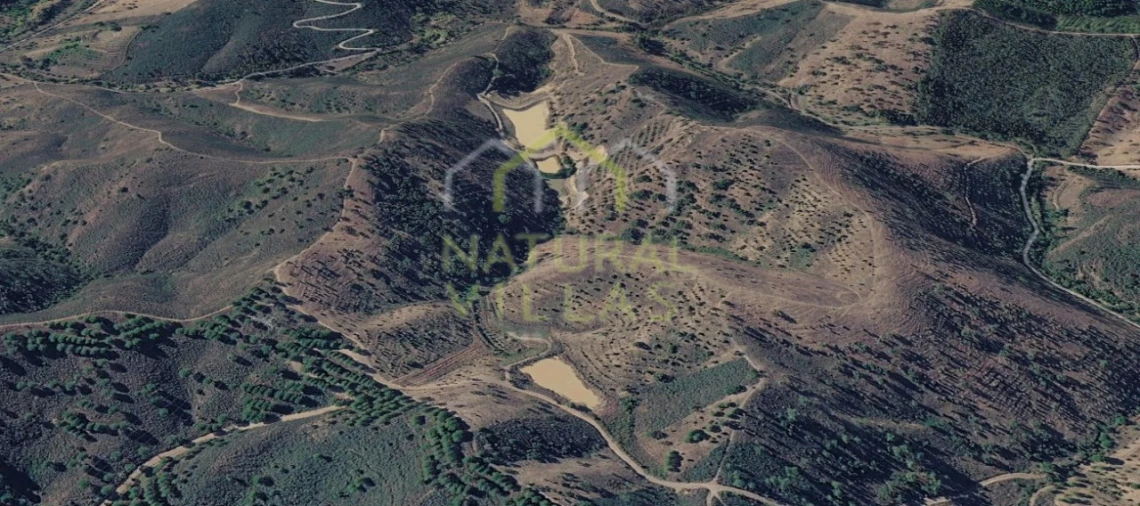 Terreno Agricola ou Rústico para Venda em São Brás de Alportel Foto 2
