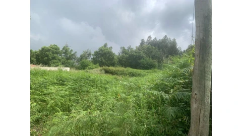 Terreno para Venda em Fânzeres e São Pedro da Cova