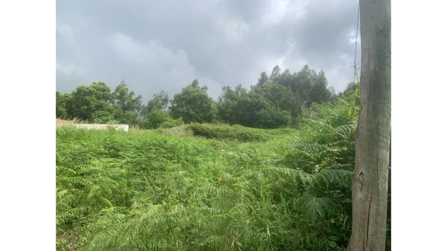 Terreno para Venda em Fânzeres e São Pedro da Cova Foto 14
