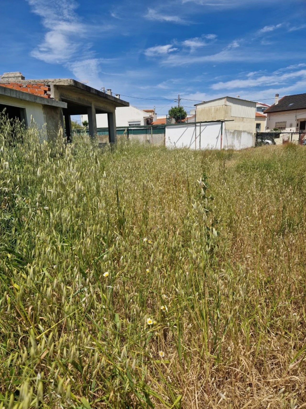 Terreno para Arrendamento em Caparica e Trafaria Foto 2