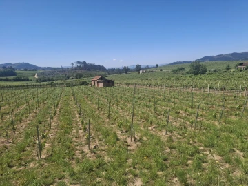 Terreno para Venda em Messegães, Valadares e Sá