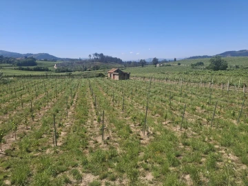 Terreno para Venda em Messegães, Valadares e Sá