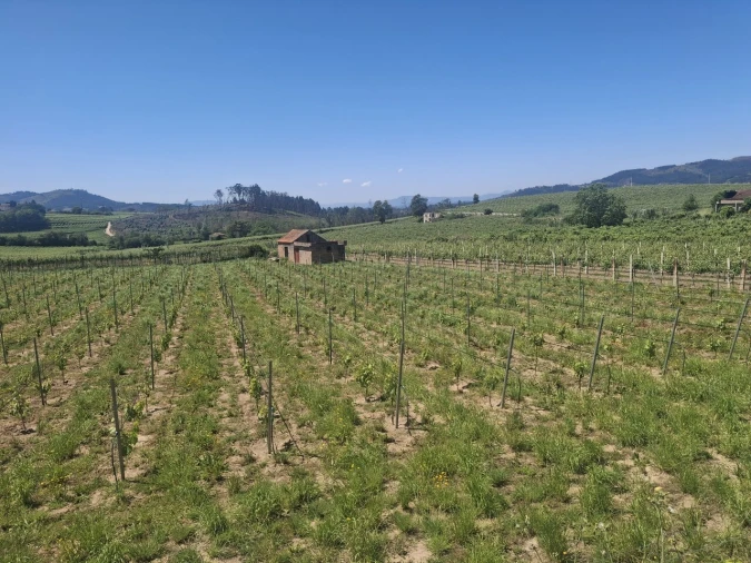 Terreno para Venda em Messegães, Valadares e Sá Foto 2