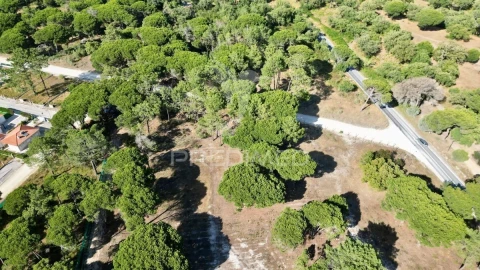 Terreno para Venda em Sesimbra (Castelo)