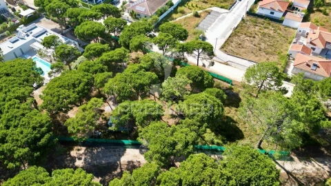 Terreno para Venda em Sesimbra (Castelo)