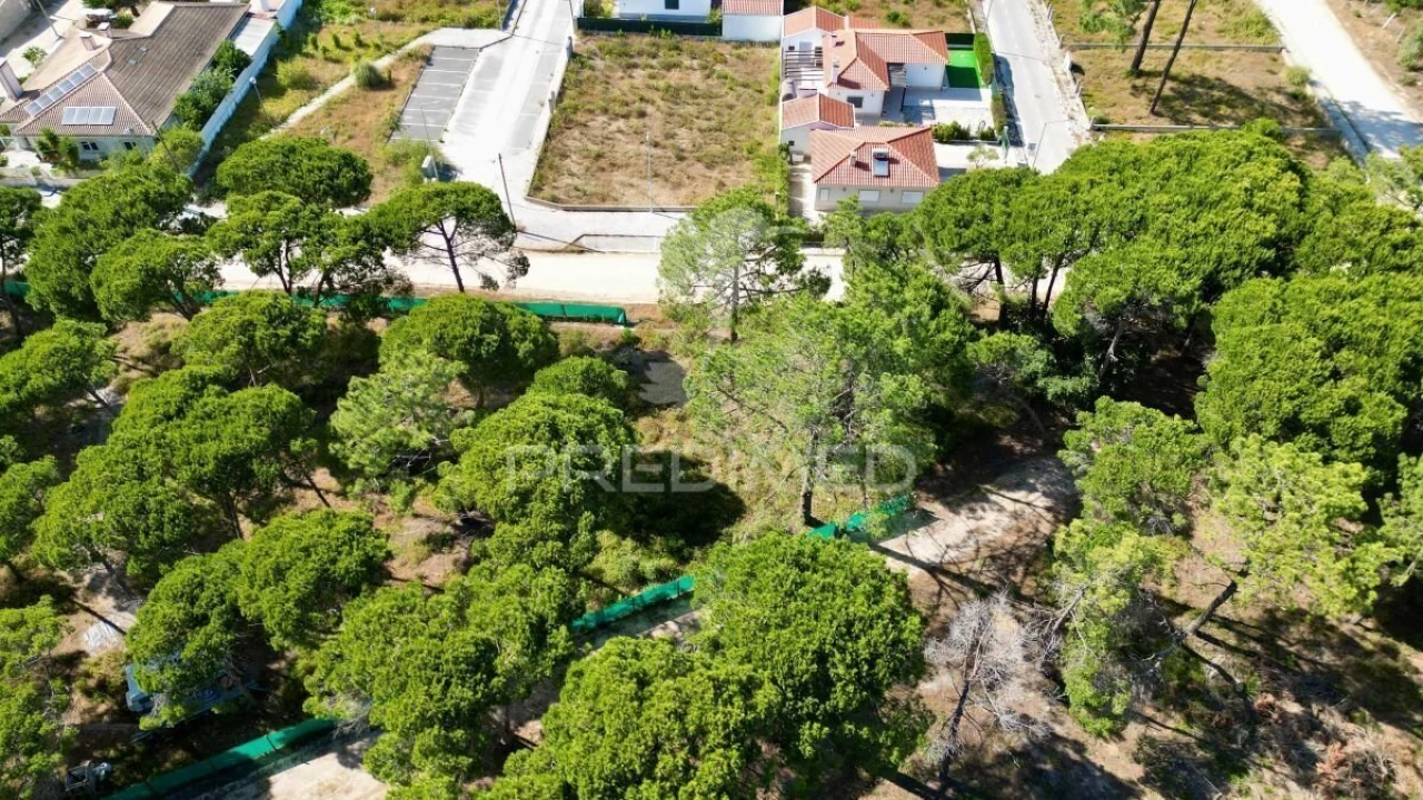 Terreno para Venda em Sesimbra (Castelo) Foto 10