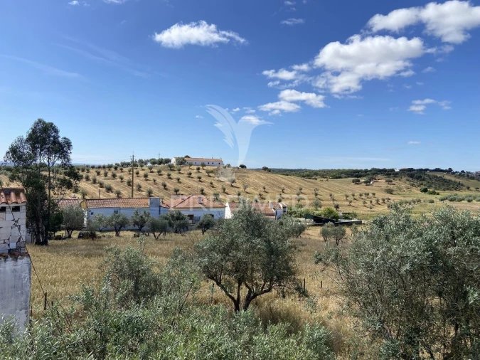 Moradia T2 para Venda em Nossa Senhora da Conceição, São Brás dos Matos, Juromenha Foto 23