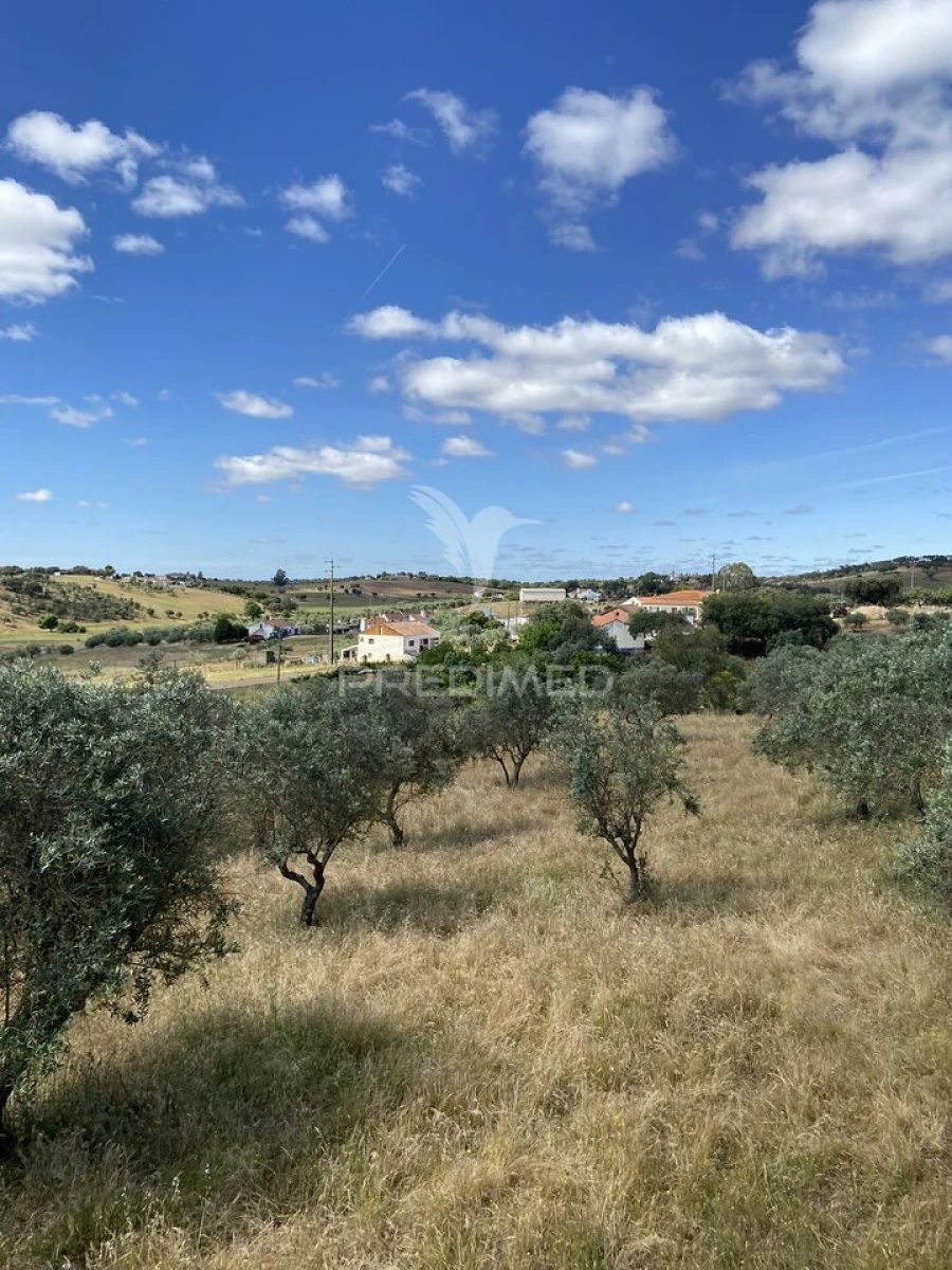 Moradia T2 para Venda em Nossa Senhora da Conceição, São Brás dos Matos, Juromenha Foto 21