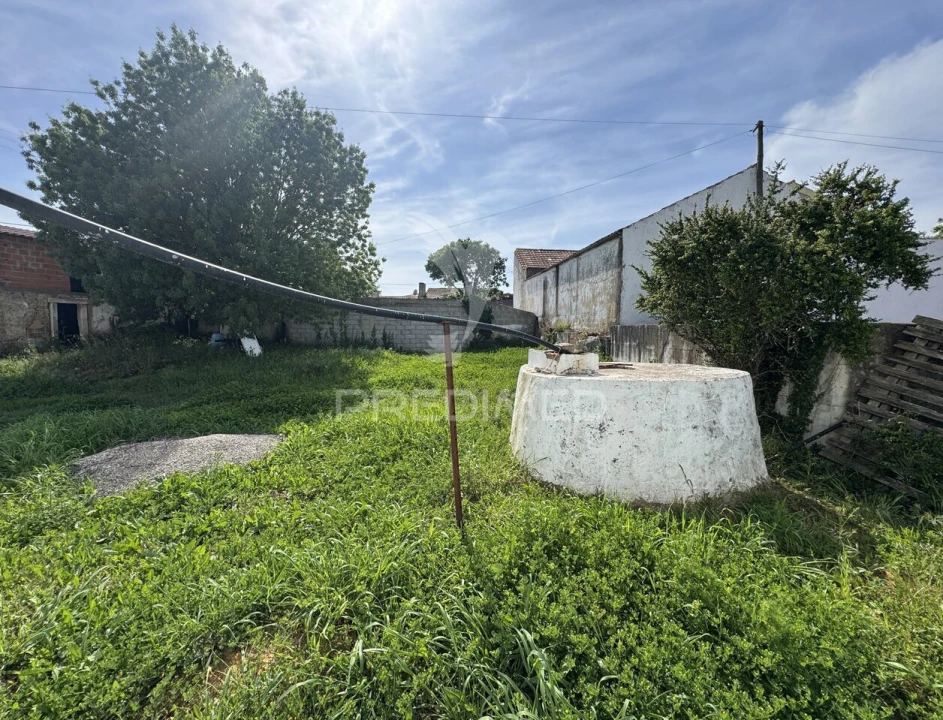 Terreno para Venda em Benedita Foto 4