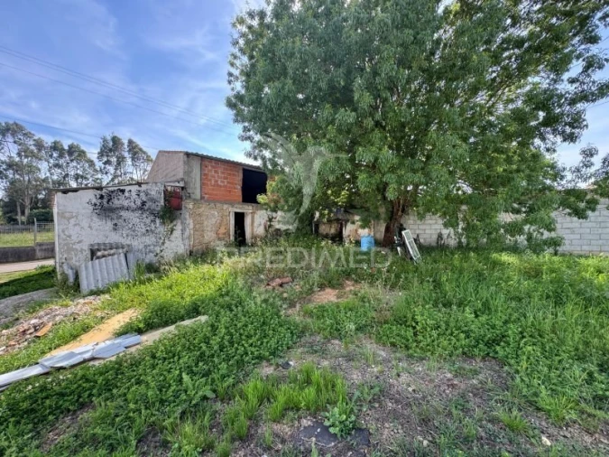Terreno para Venda em Benedita Foto 5