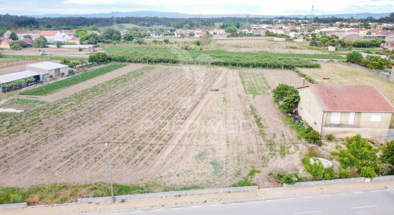 Terreno para Venda em Sepins e Bolho Foto 5