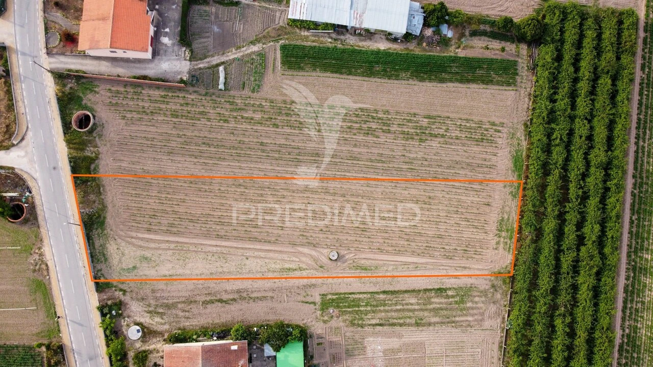 Terreno para Venda em Sepins e Bolho Foto 7