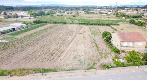 Terreno para Venda em Sepins e Bolho
