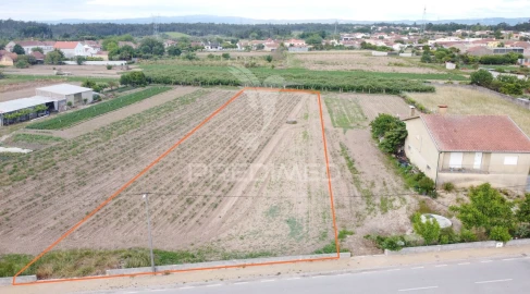 Terreno para Venda em Sepins e Bolho