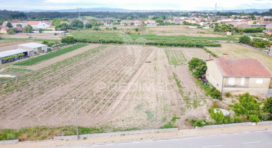 Terreno para Venda em Sepins e Bolho Foto 5