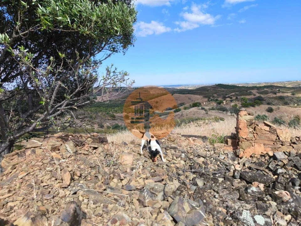 Terreno para Venda em Castro Marim Foto 3
