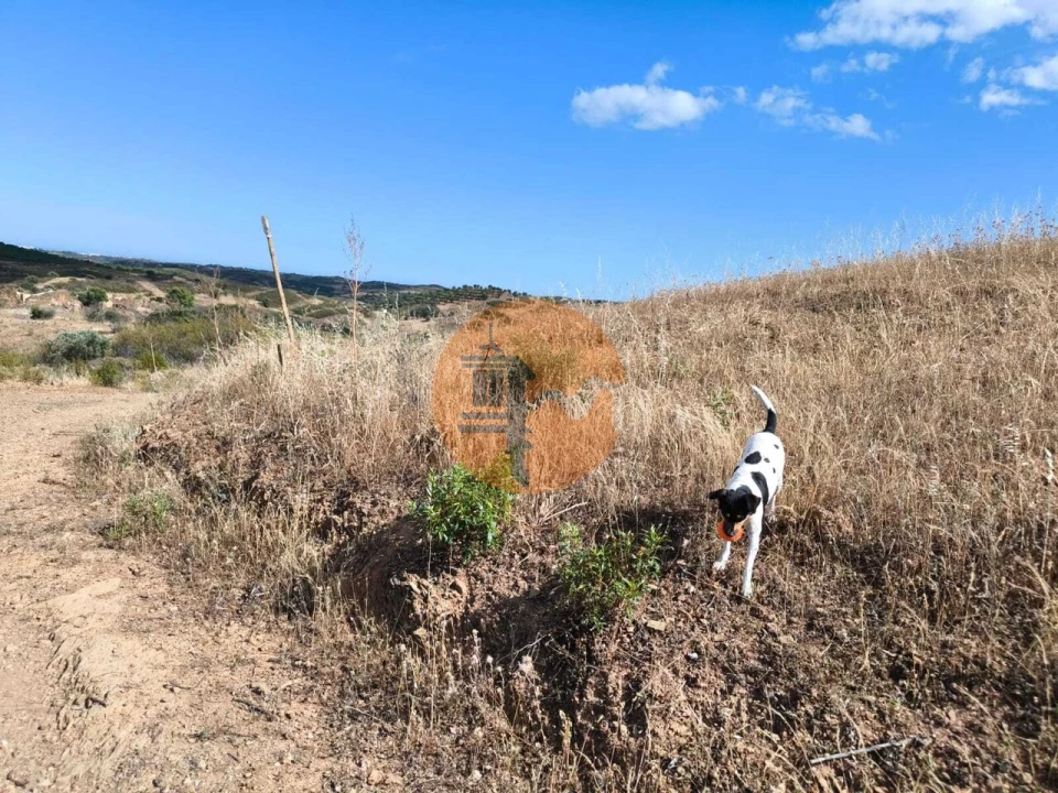 Terreno para Venda em Castro Marim Foto 21