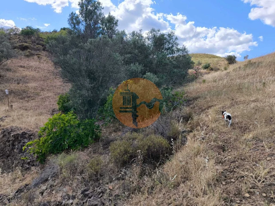 Terreno para Venda em Castro Marim Foto 26