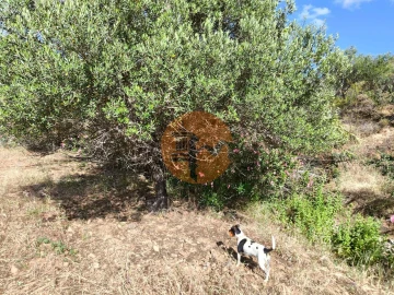 Terreno para Venda em Castro Marim