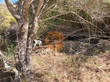 Terreno para Venda em Castro Marim