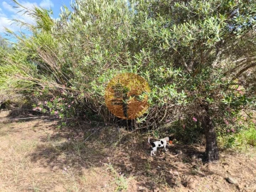 Terreno para Venda em Castro Marim