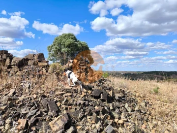 Terreno para Venda em Castro Marim