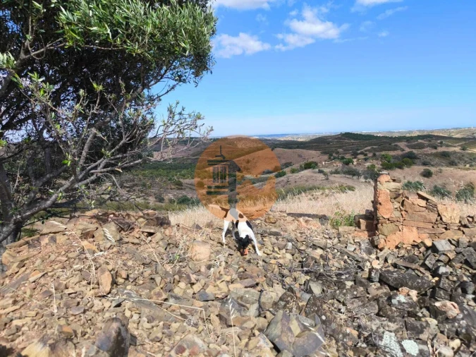 Terreno para Venda em Castro Marim Foto 3