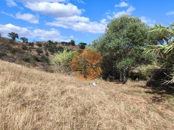 Terreno para Venda em Castro Marim Foto 12