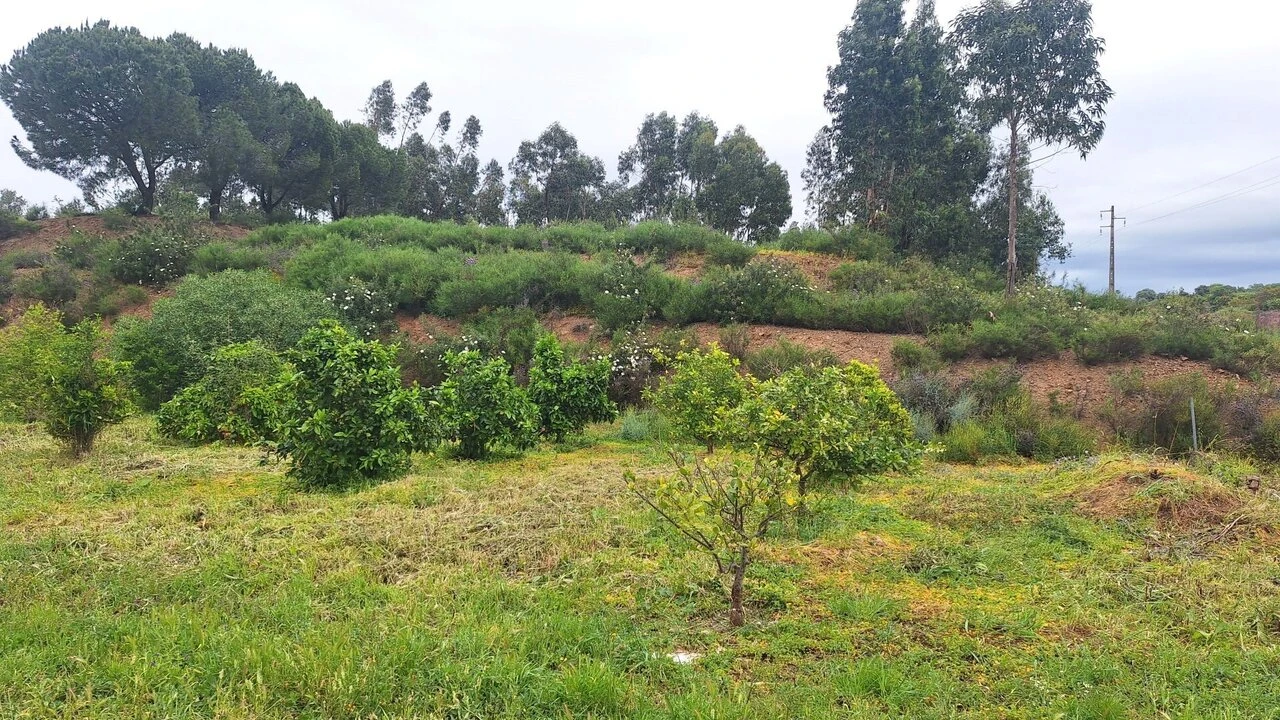 Terreno para Venda em Silves Foto 2