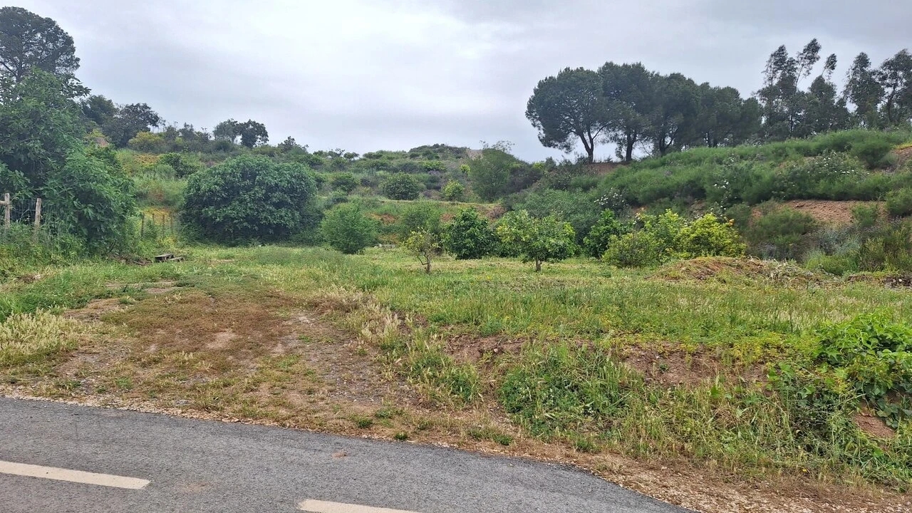Terreno para Venda em Silves Foto 3
