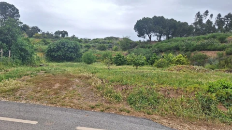 Terreno para Venda em Silves