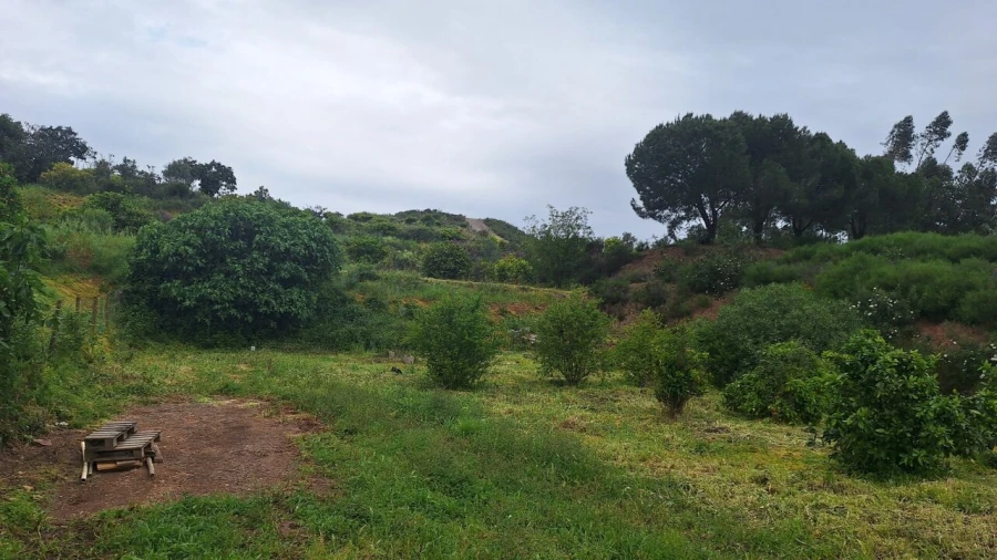 Terreno para Venda em Silves Foto 4
