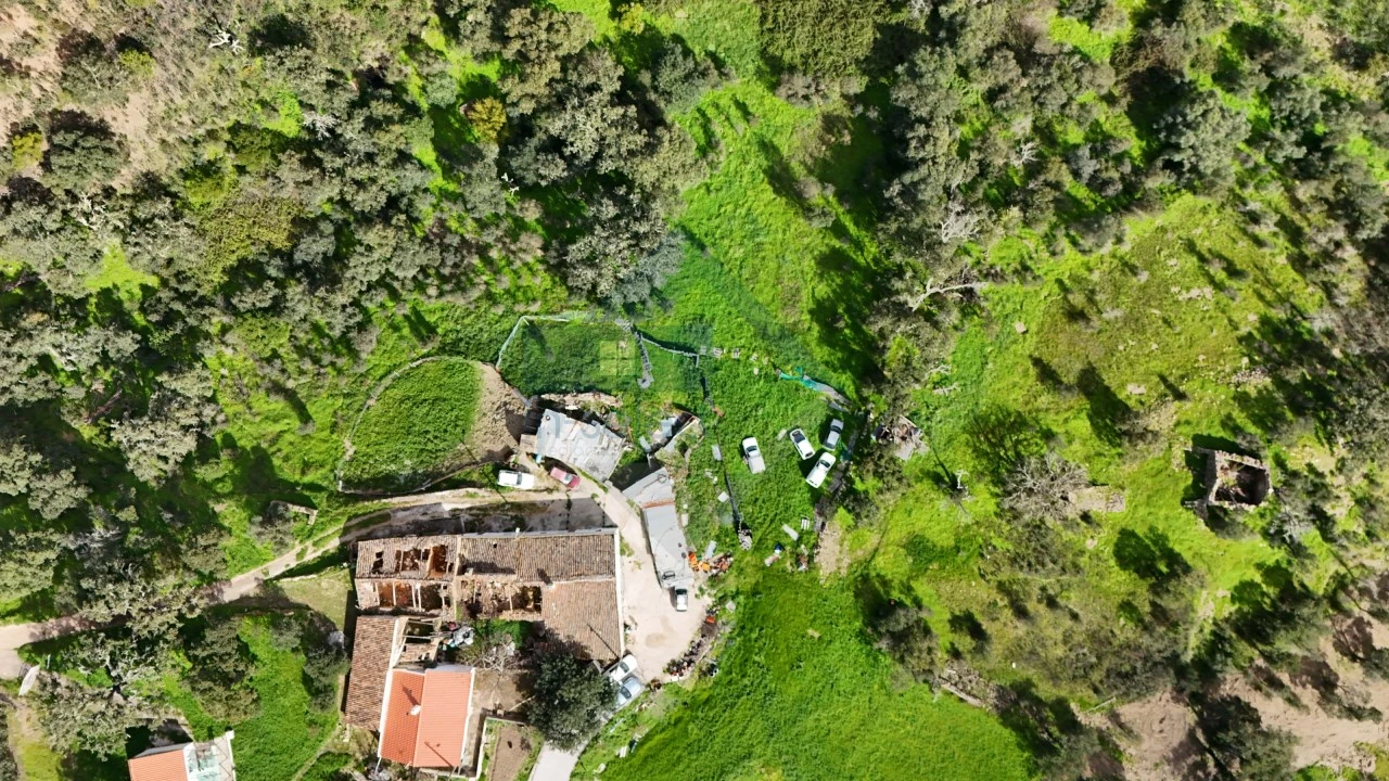 Quinta T4 para Venda em Salir Foto 5