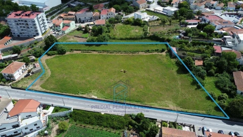 Terreno Agricola ou Rústico para Venda em Rio Tinto