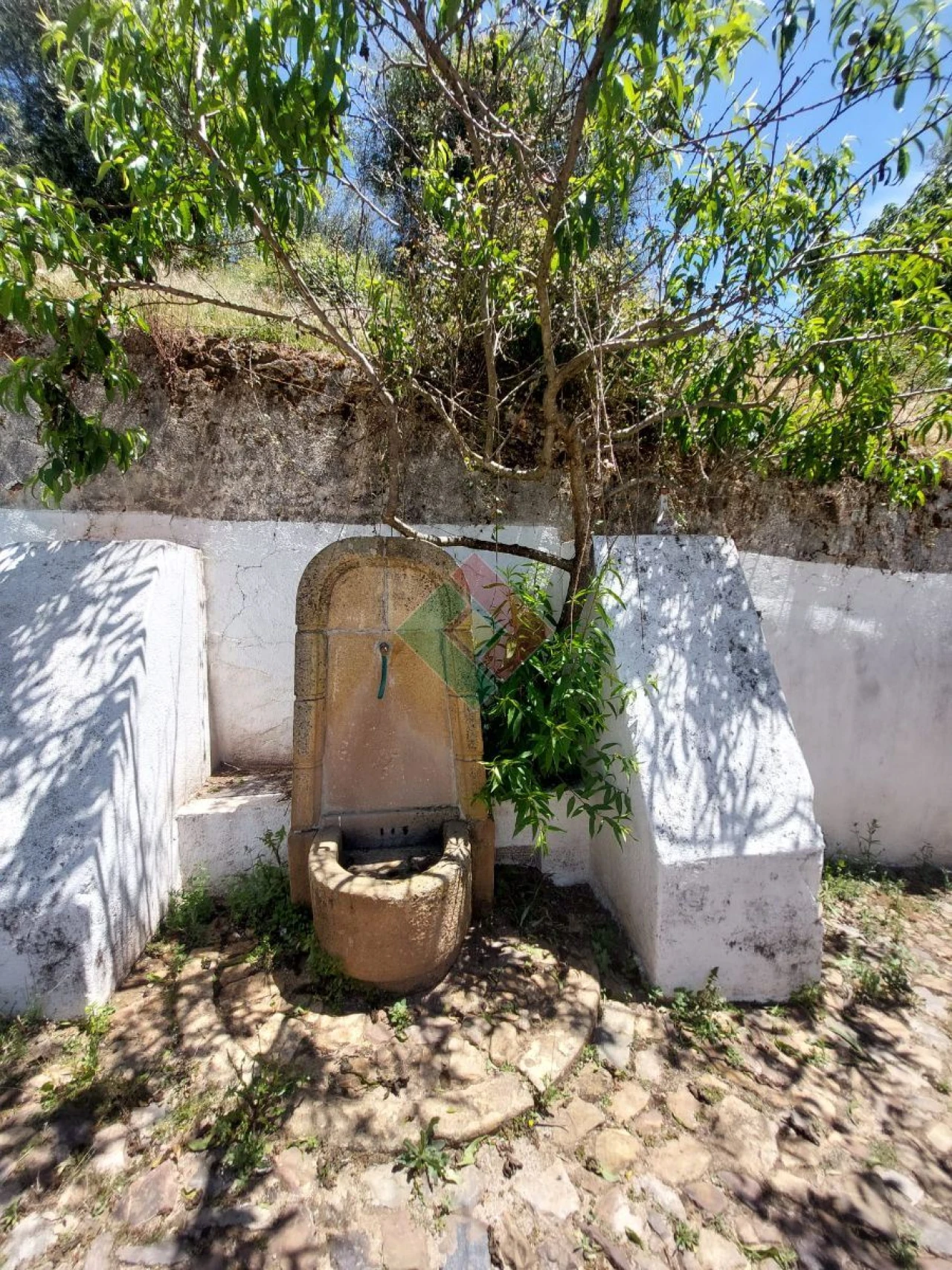 Moradia T4 para Venda em São Salvador da Aramenha Foto 12